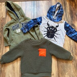 2T Sweater Lot of 3 Boys Toddler Winter Warm Hoodie Green Blue Bugs